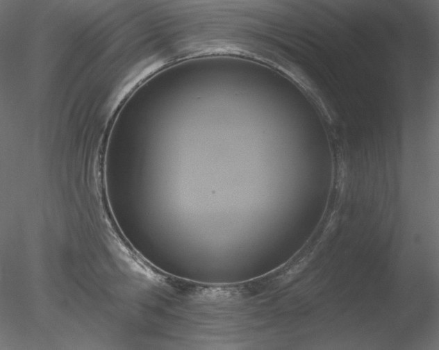 X0000078310806200611031237