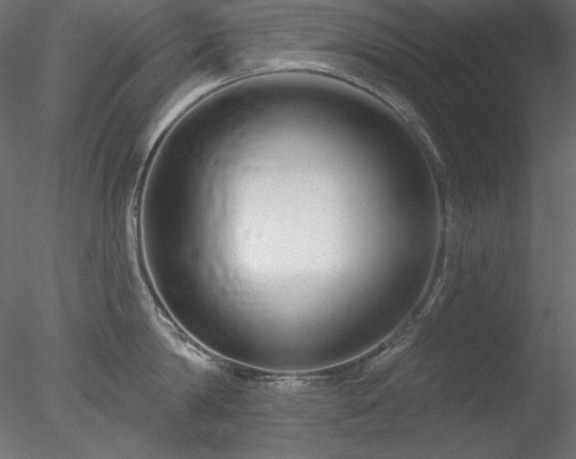X0000078310814200611031237