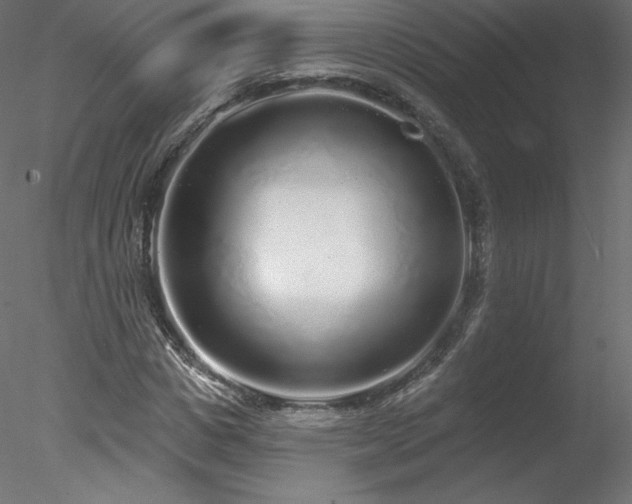X0000078310825200611031236