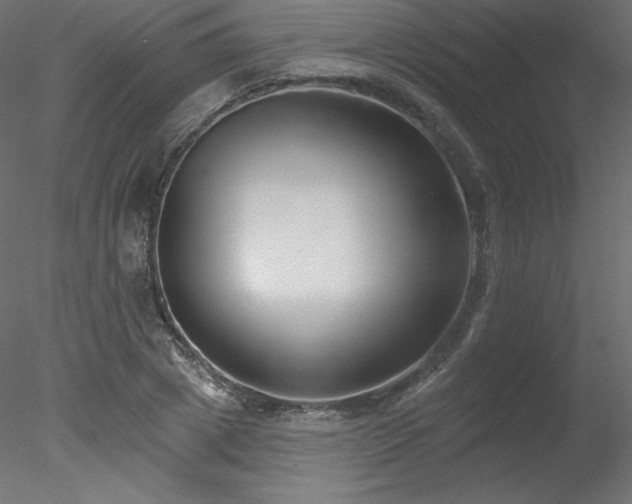 X0000078310833200611031236
