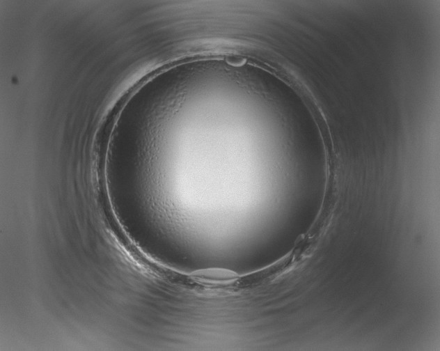 X0000078310835200611031236