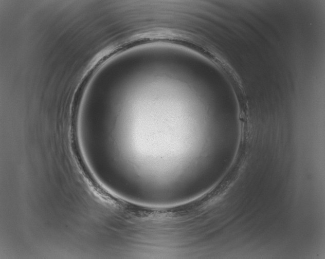 X0000078310845200611031237