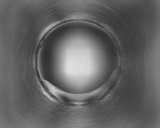 X0000078310846200611031237