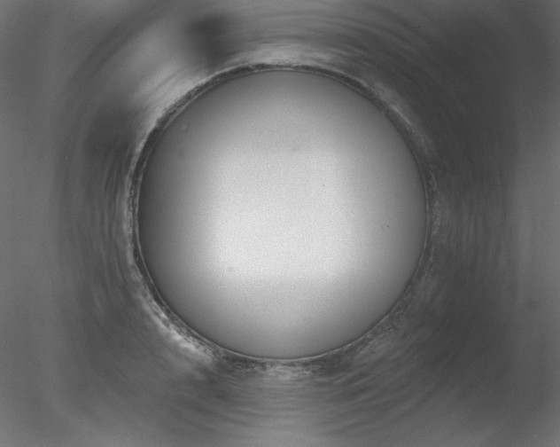 X0000078310848200611031237