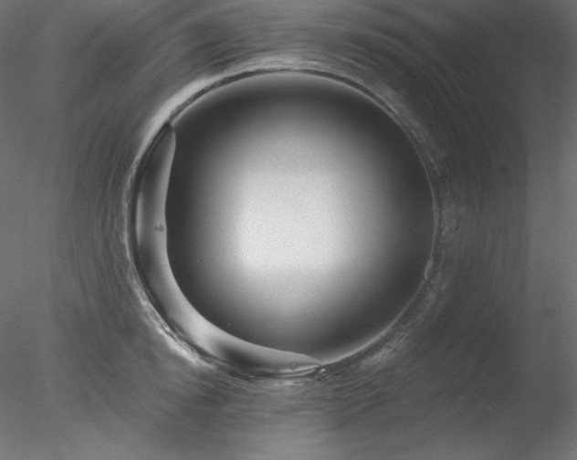 X0000078310854200611031237