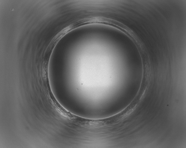 X0000078310857200611031237