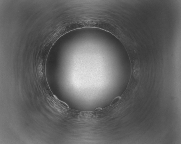 X0000078310866200611031236