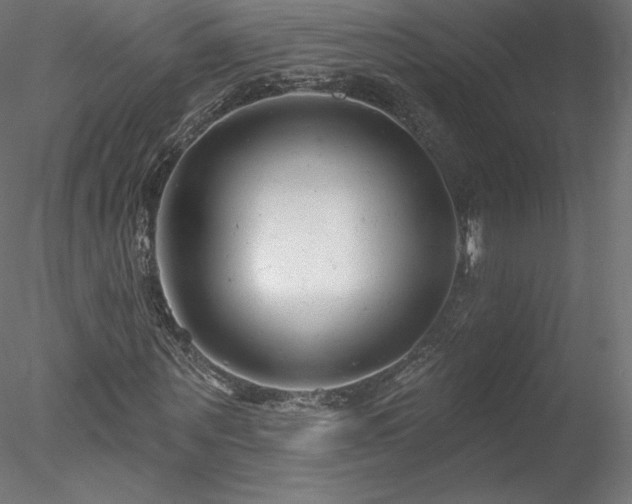 X0000078310867200611031236