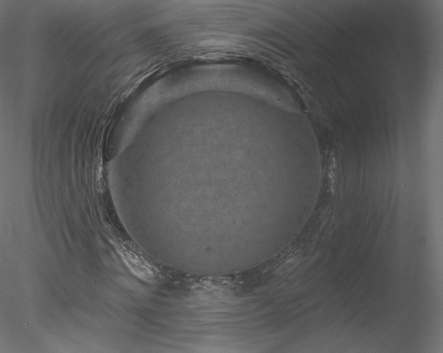 X0000078310868200611031236