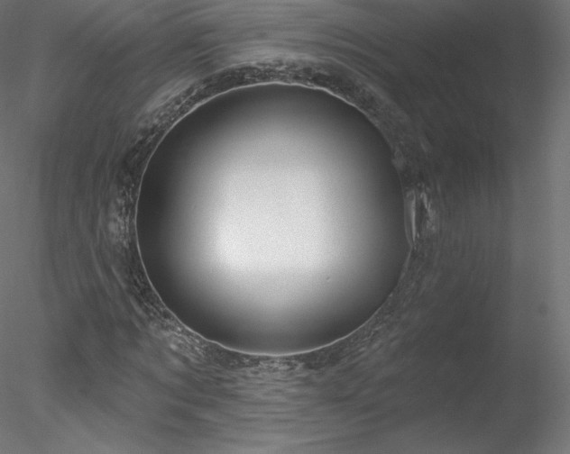 X0000078310869200611031236