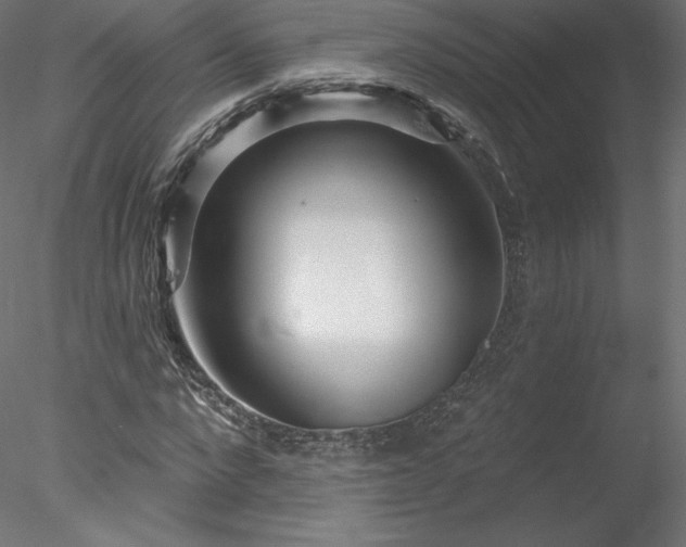 X0000078310872200611031236