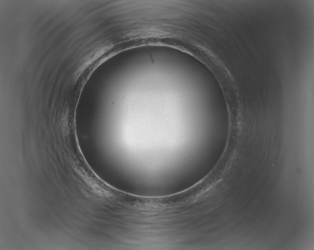 X0000078310873200611031236