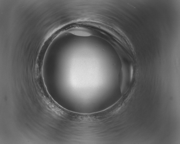 X0000078310876200611031236
