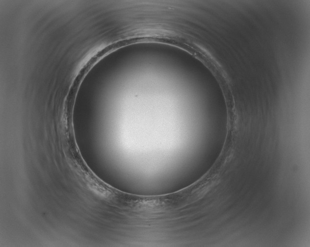 X0000078310883200611031236
