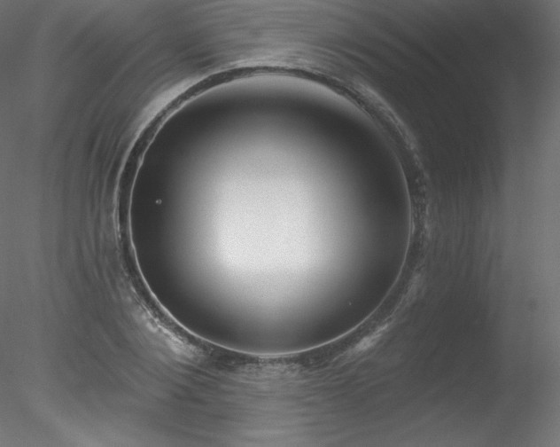 X0000078310884200611031236