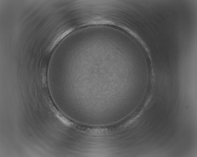 X0000078310889200611031236
