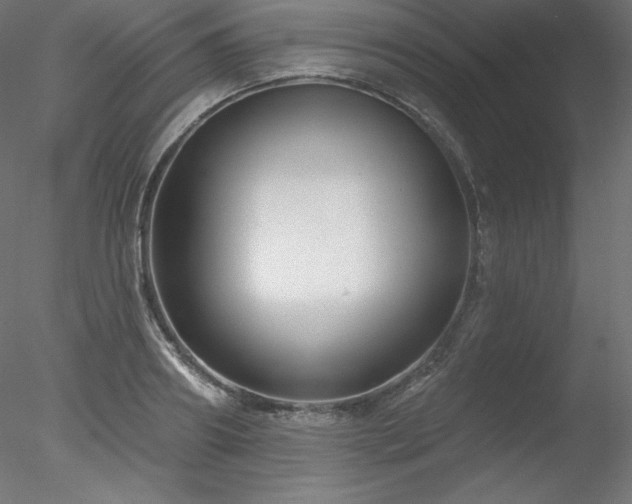 X0000078310890200611031236