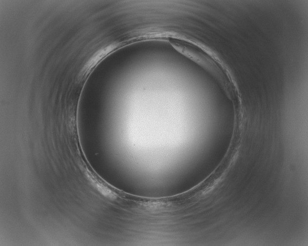 X0000078310897200611031236