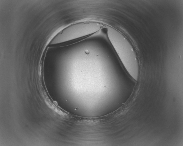 X0000078310900200611031235