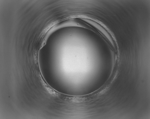 X0000078310905200611031235