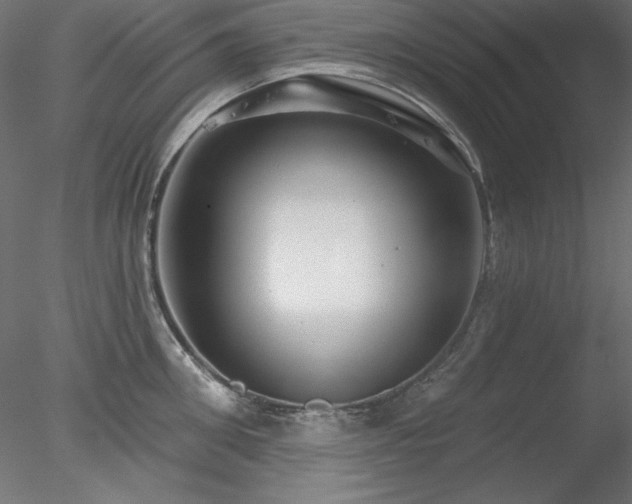 X0000078310906200611031235