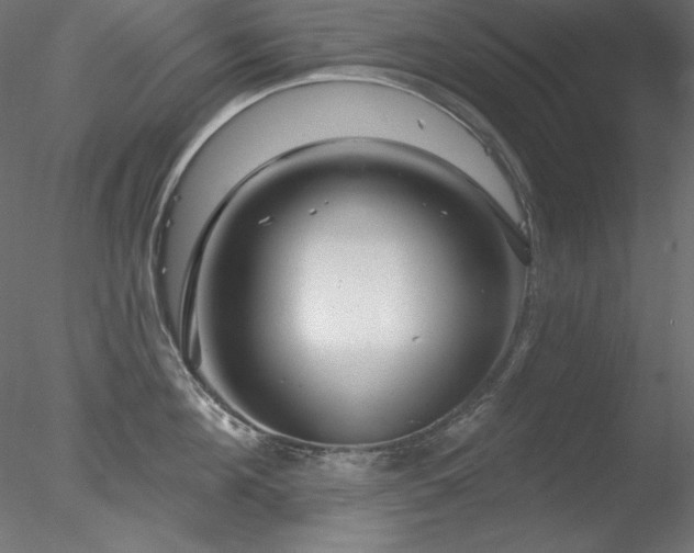 X0000078310908200611031235