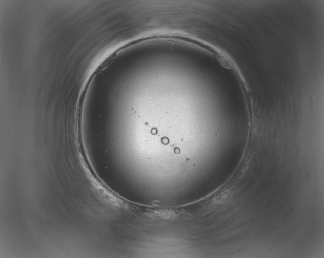 X0000078310911200611031235