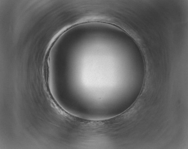X0000078310912200611031235