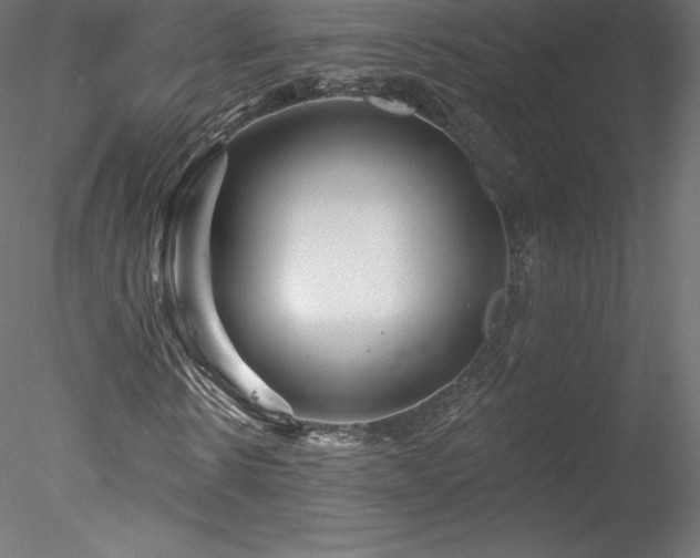 X0000078310914200611031234