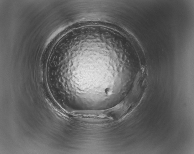 X0000078310925200611031235