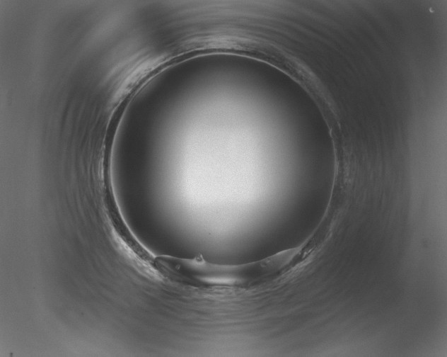 X0000078310938200611031235
