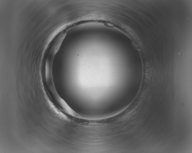 X0000078310942200611031235