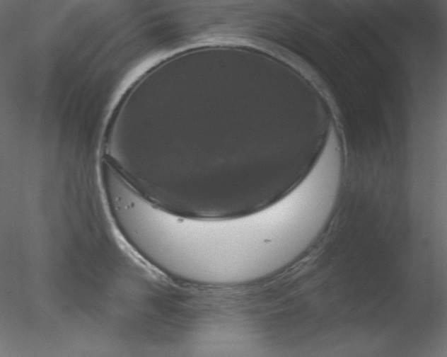 X0000078310958200611031235