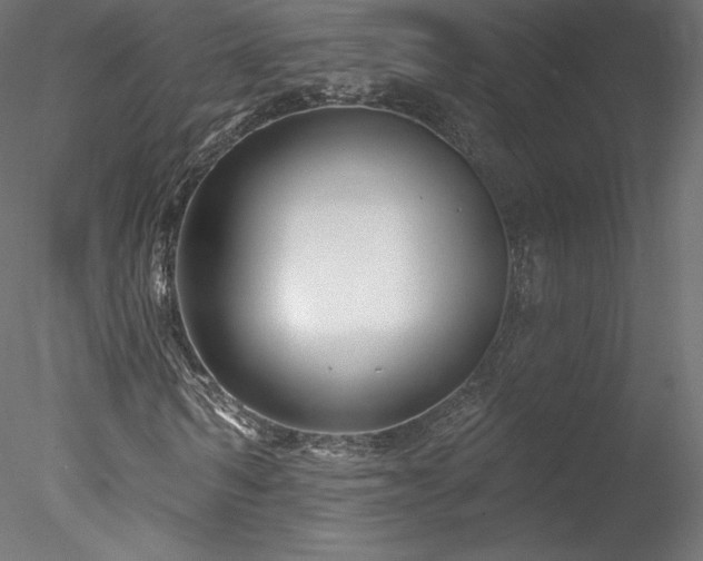X0000078310962200611031234