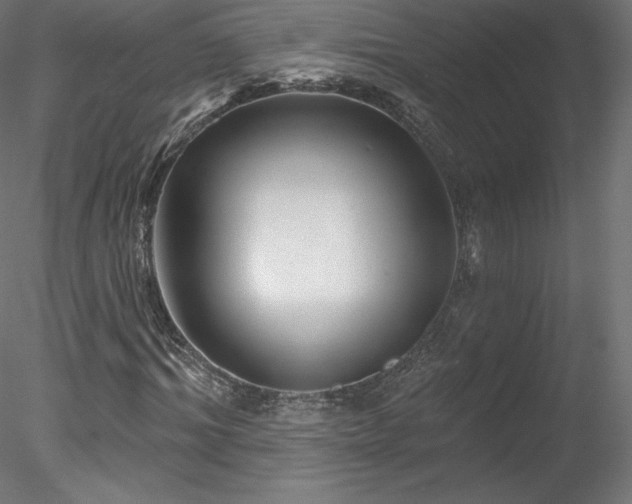 X0000078310964200611031234