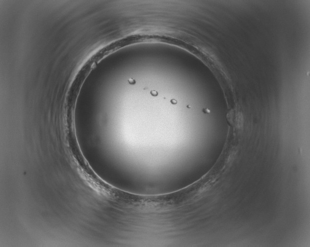 X0000078310976200611031234