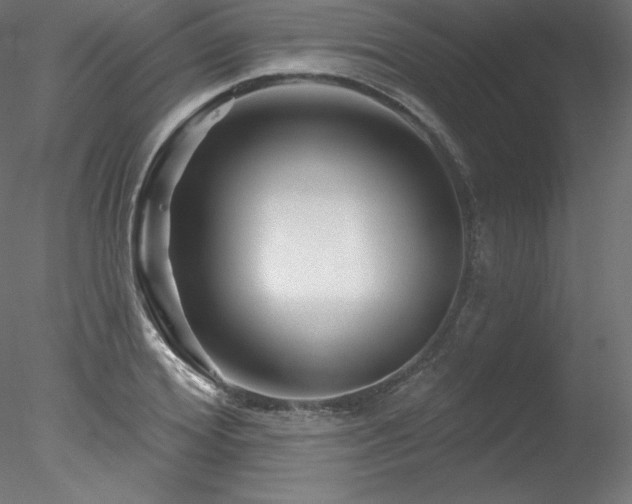 X0000078310980200611031234