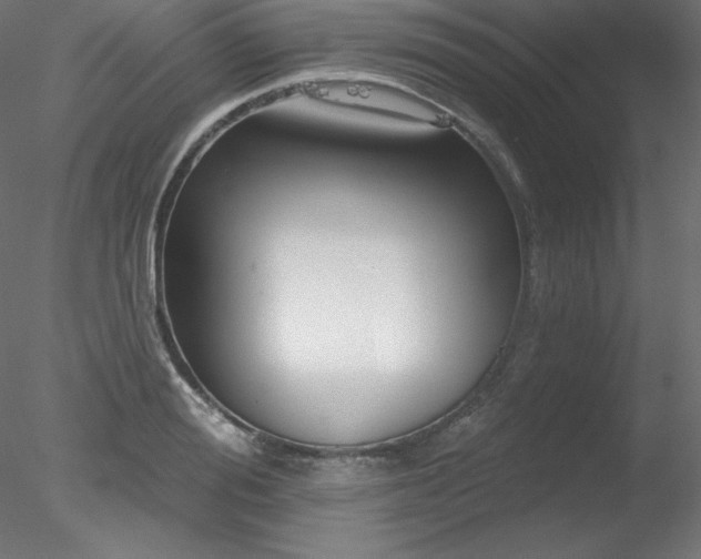 X0000078310988200611031234