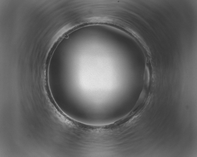 X0000078310992200611031234