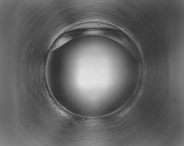 X0000078310993200611031234