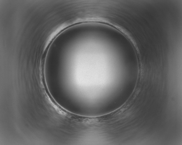X0000078311006200611031234