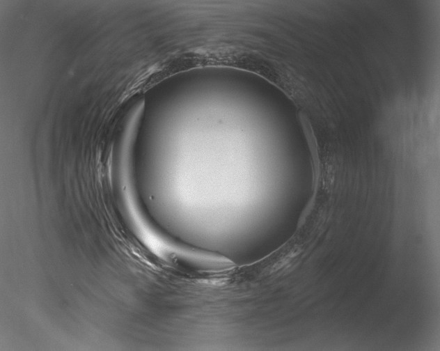X0000078311010200611031233