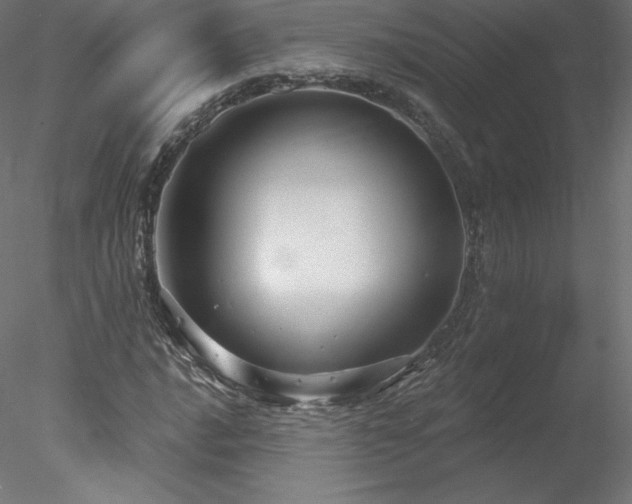 X0000078311016200611031233