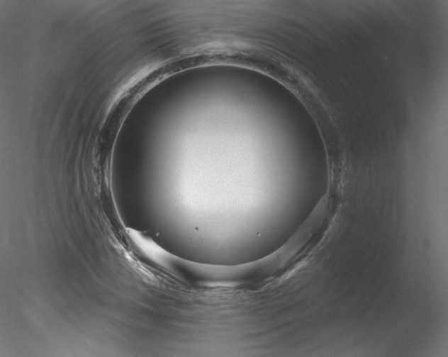 X0000078311018200611031233