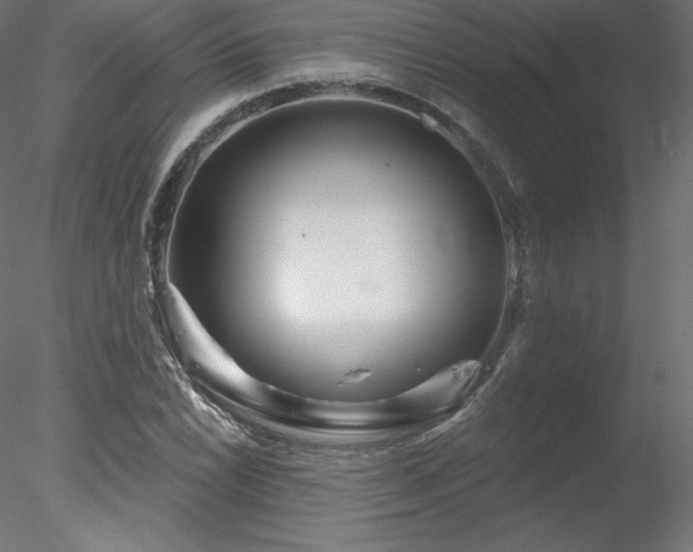 X0000078311022200611031233