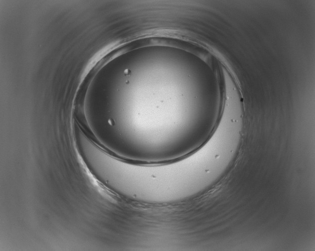 X0000078311050200611031234