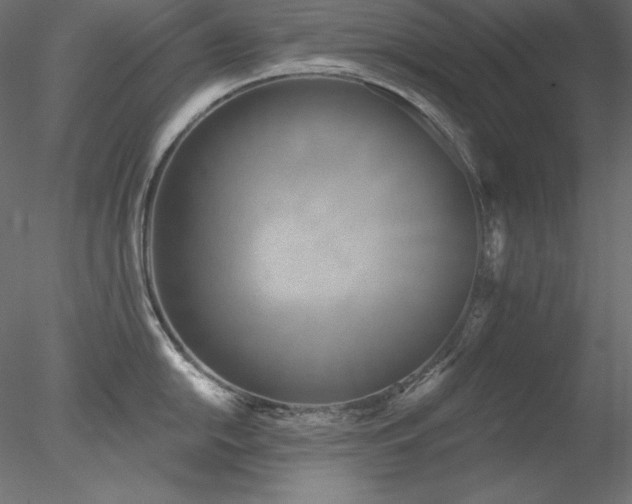 X0000078311054200611031234