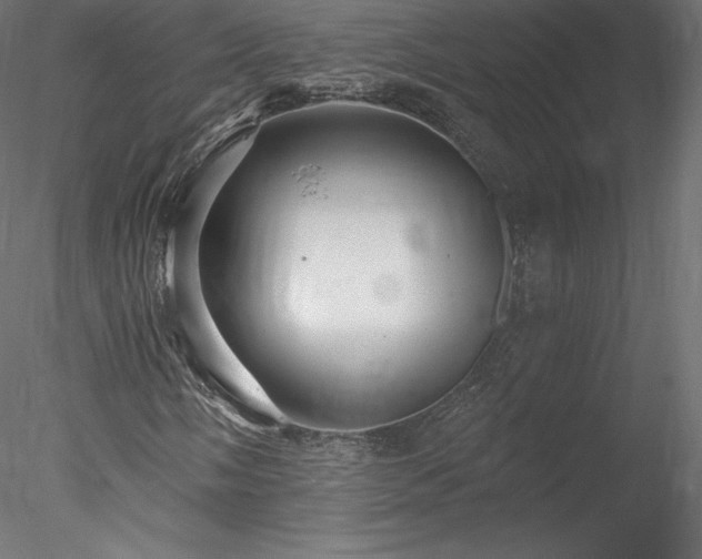 X0000078311058200611031233