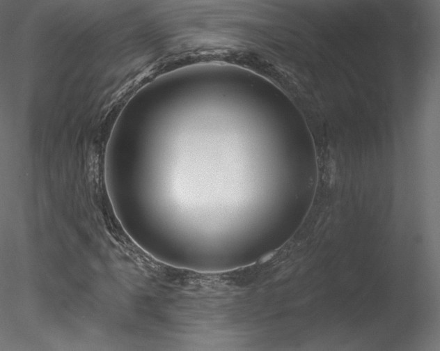 X0000078311061200611031233
