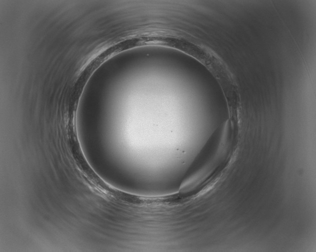 X0000078311065200611031233